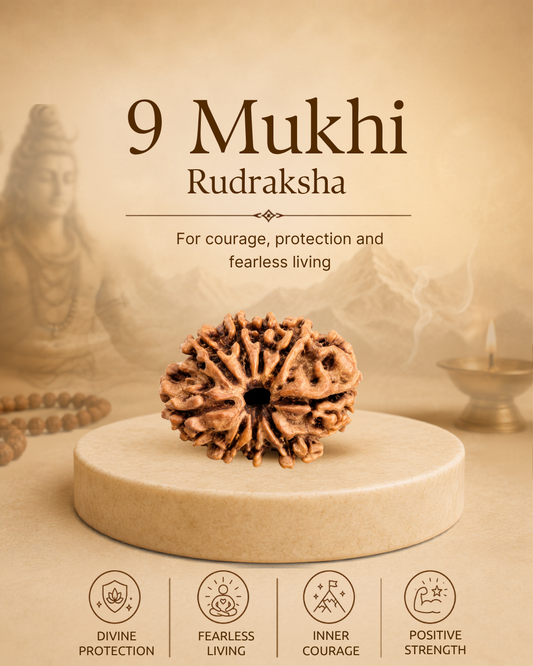 9 Mukhi Rudraksha (Natural | Nepal Origin)
