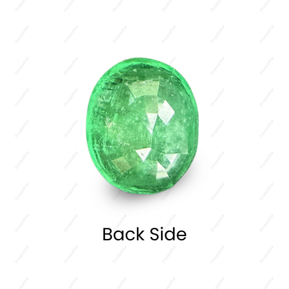Natural Emerald (Panna) Gemstone – Oval Shape (7.05 Carat | 7.68 Ratti | 13 × 10.6 × 7.8 mm)