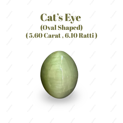 Natural Cat's Eye Gemstone – Oval Shape (5.60 Carat | 6.10 Ratti | L 11.9 × B 9.6 × H 7.3 mm)