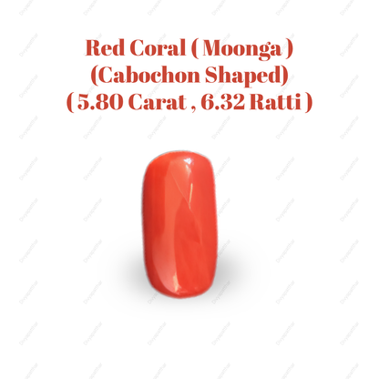 Natural Red Coral (Moonga) Gemstone – Cabochon Shape (5.80 Carat | 6.32 Ratti | 15.1 × 7.9 × 6.0 mm)