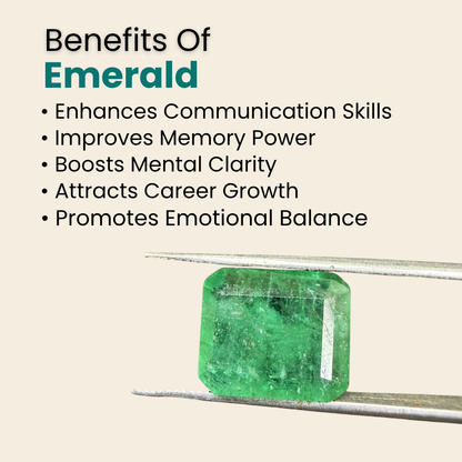 Natural Emerald (Panna) Gemstone – Square Shape (6.25 Carat | 6.81 Ratti | 12.3 × 10.4 × 5.5 mm)