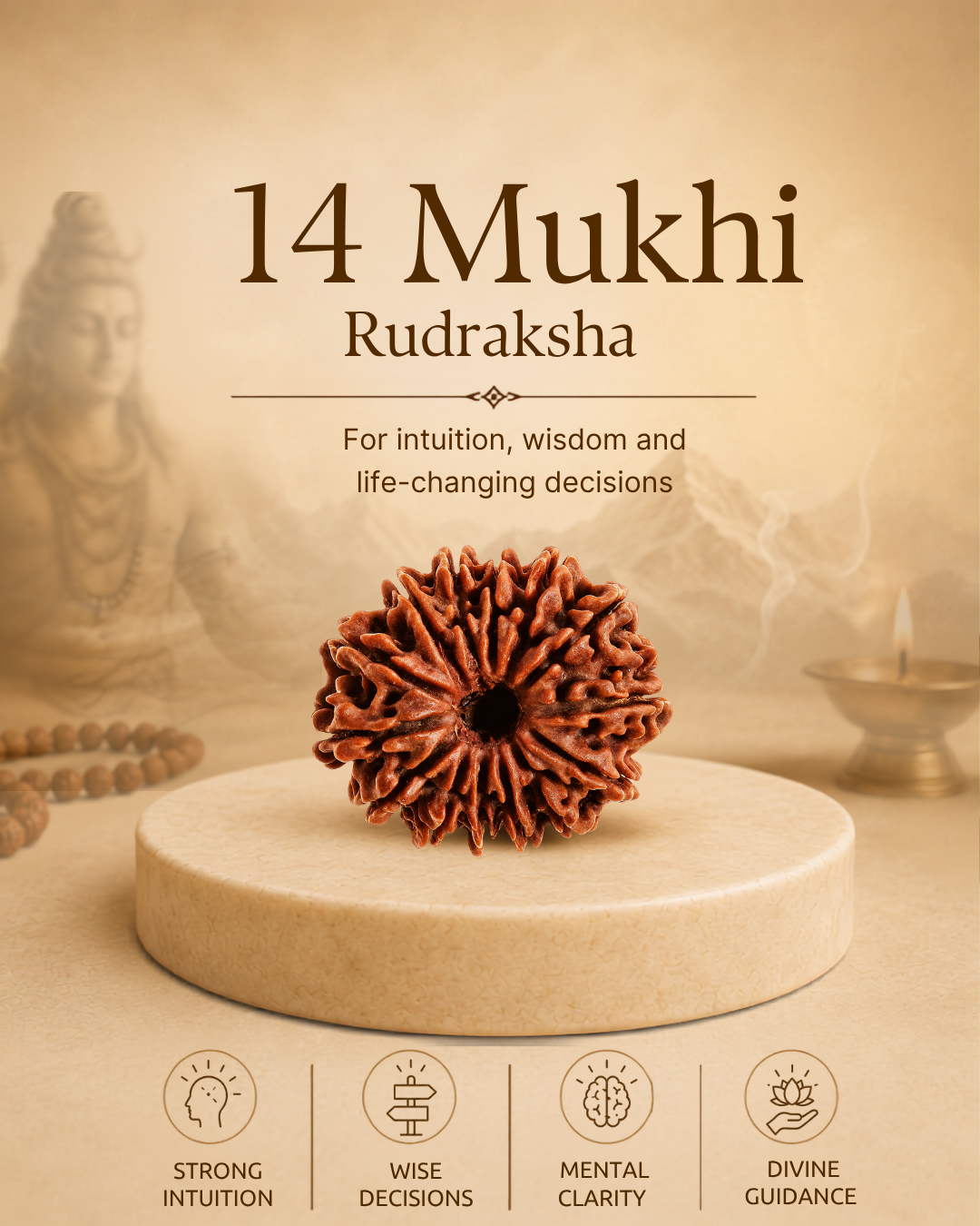 14 Mukhi Rudraksha (Natural | Nepal Origin)