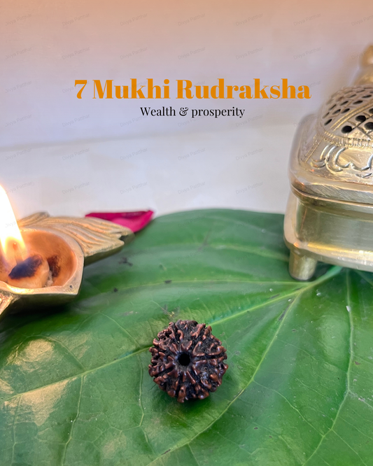 7 Mukhi Rudraksha (Natural | Nepal Origin)
