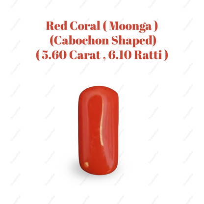 Natural Red Coral (Moonga) Gemstone – Cabochon Shape (5.60 Carat | 6.10 Ratti | 14.8 × 6.8 × 6.7 mm)