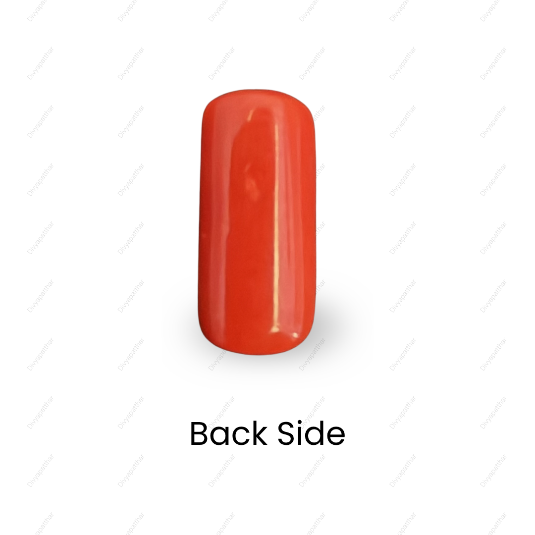 Natural Red Coral (Moonga) Gemstone – Cabochon Shape (5.60 Carat | 6.10 Ratti | 14.8 × 6.8 × 6.7 mm)