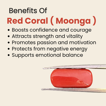 Natural Red Coral (Moonga) Gemstone – Cabochon Shape (5.60 Carat | 6.10 Ratti | 14.8 × 6.8 × 6.7 mm)