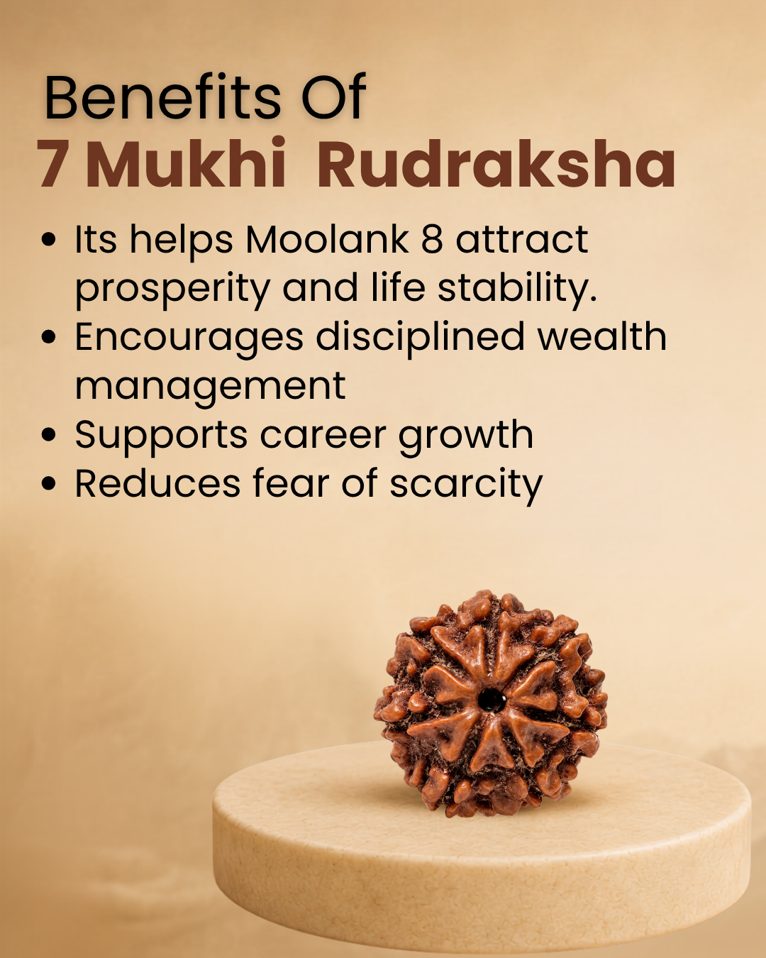 7 Mukhi Rudraksha for Moolank 8 and Discipline Seekers Ruled by Saturn (Natural | Nepal Origin)