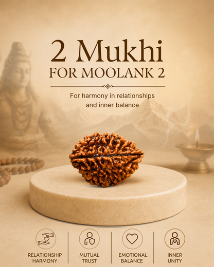2 Mukhi Rudraksha for Moolank 2 and Emotionally Sensitive Souls Ruled by Moon (Natural | Nepal Origin)
