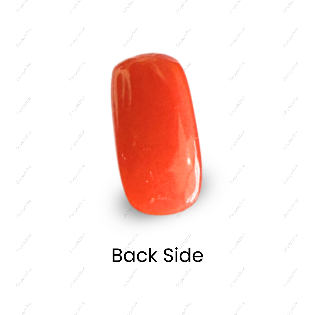 Natural Red Coral (Moonga) Gemstone – Cabochon Shape (5.80 Carat | 6.32 Ratti | 15.1 × 7.9 × 6.0 mm)