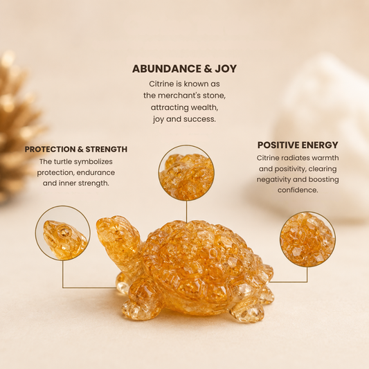 Citrine Tortoise for Vastu Purpose – Wealth, Prosperity & Positive Energy