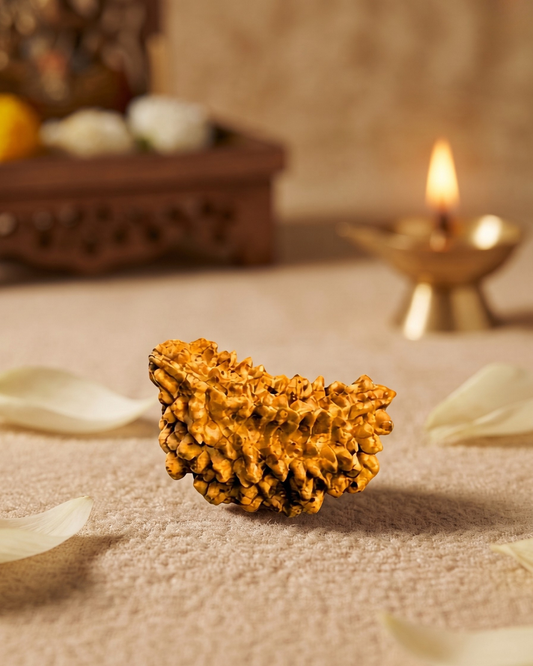 1 Mukhi Rudraksha (Natural | Rameshwaram Origin)