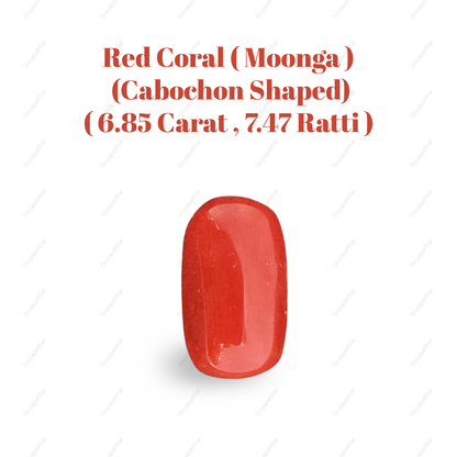 Natural Red Coral (Moonga) Gemstone – Cabochon Shape (6.85 Carat | 7.47 Ratti | 13.9 × 8.2 × 7.6 mm)