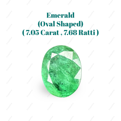 Natural Emerald (Panna) Gemstone – Oval Shape (7.05 Carat | 7.68 Ratti | 13.6 × 10.7 × 6.9 mm)