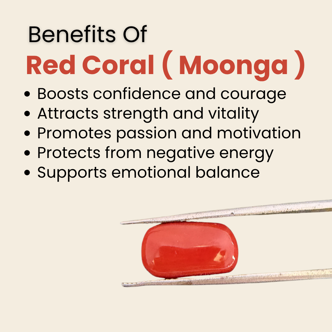 Natural Red Coral (Moonga) Gemstone – Cabochon Shape (6.85 Carat | 7.47 Ratti | 13.9 × 8.2 × 7.6 mm)