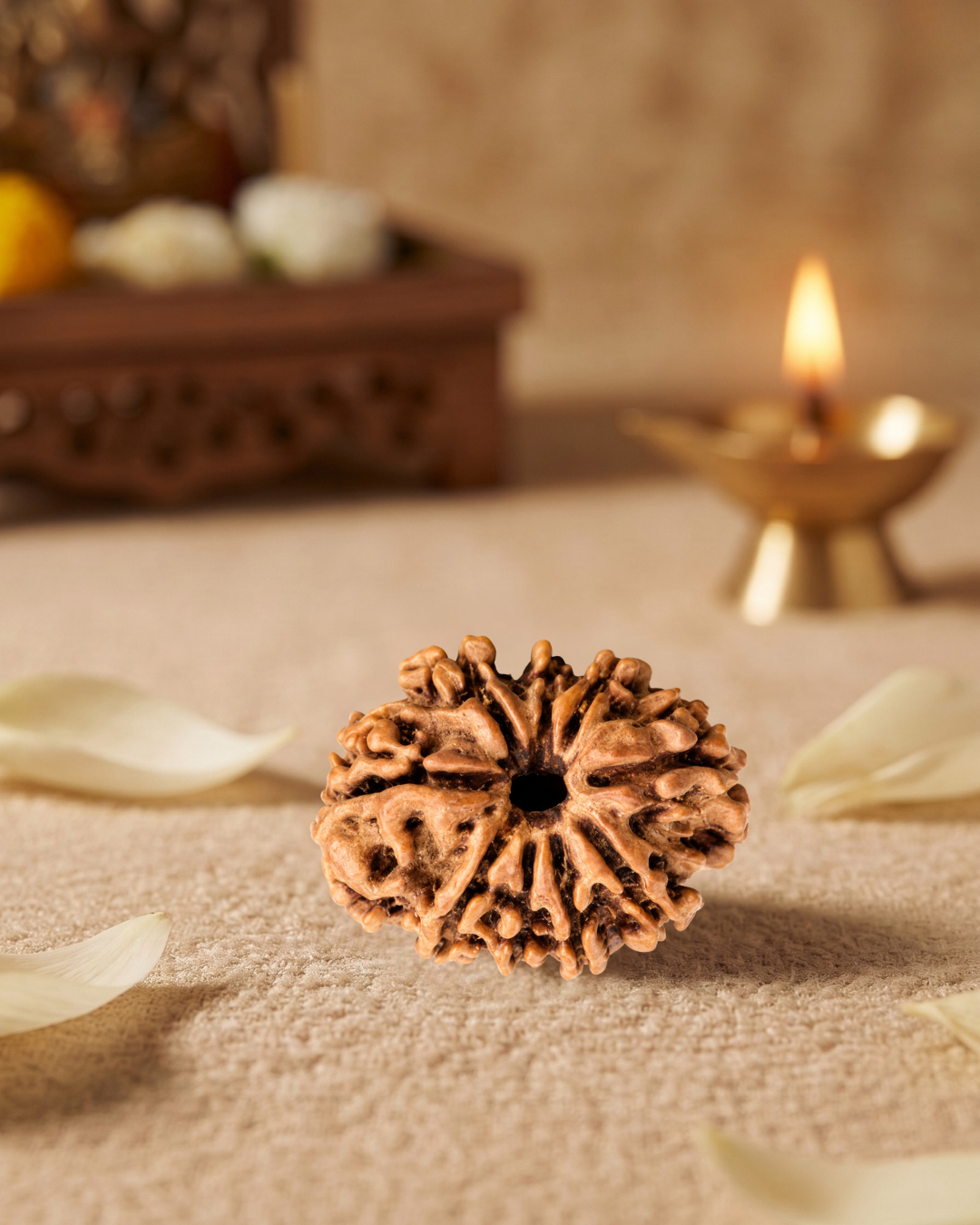 9 Mukhi Rudraksha (Natural | Nepal Origin)