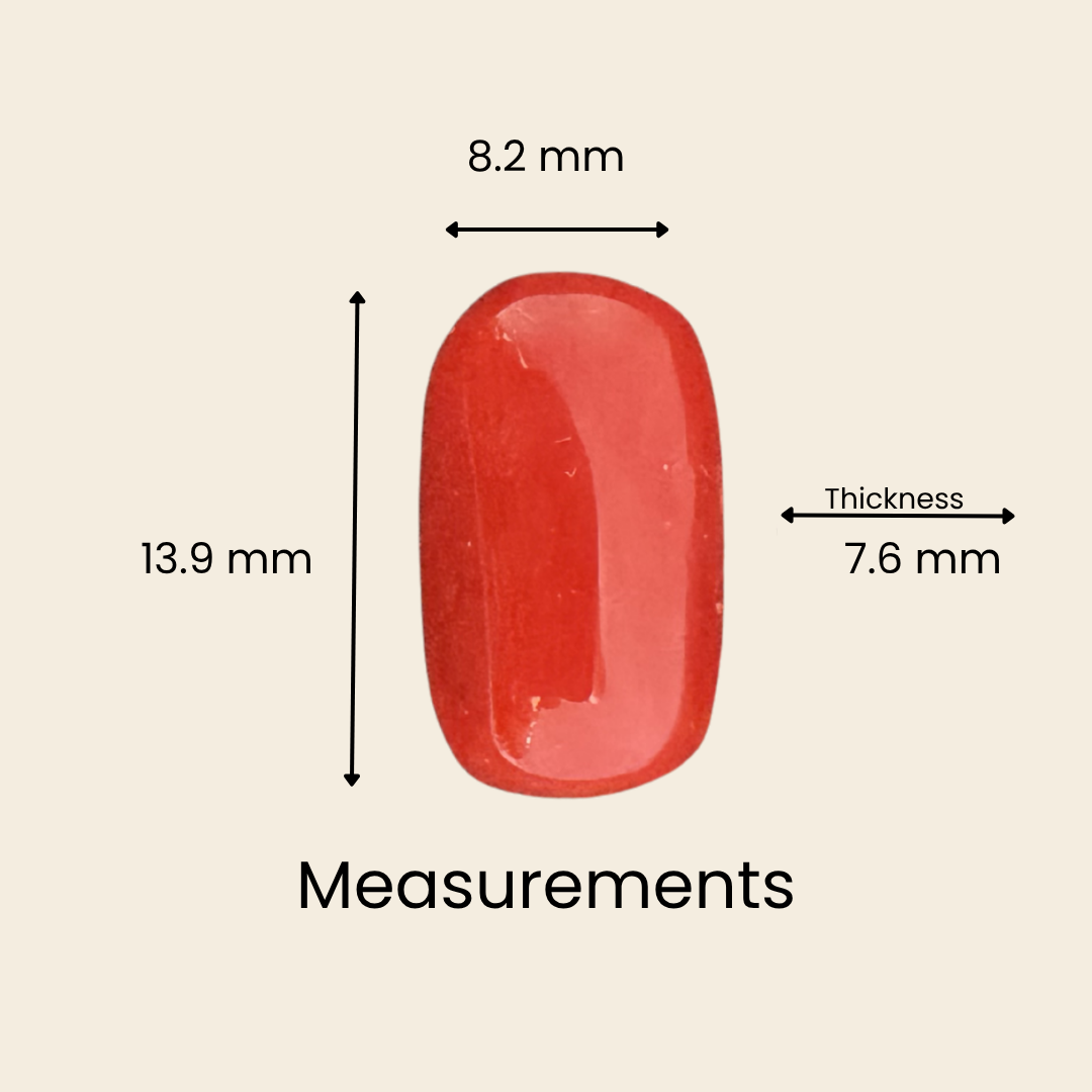 Natural Red Coral (Moonga) Gemstone – Cabochon Shape (6.85 Carat | 7.47 Ratti | 13.9 × 8.2 × 7.6 mm)