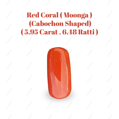 Natural Red Coral (Moonga) Gemstone – Cabochon Shape (5.95 Carat | 6.48 Ratti | 14.9 × 6.9 × 7.0 mm)