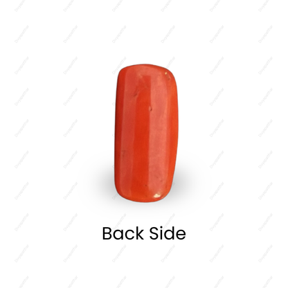 Natural Red Coral (Moonga) Gemstone – Cabochon Shape (5.95 Carat | 6.48 Ratti | 14.9 × 6.9 × 7.0 mm)