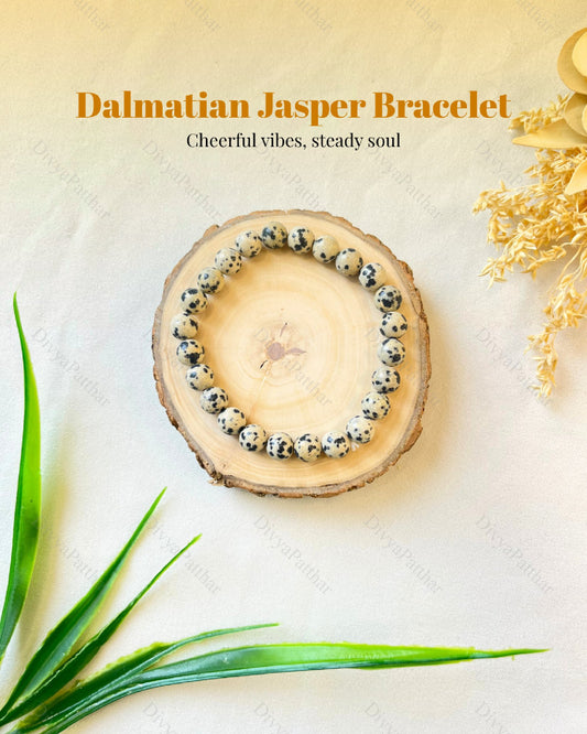 Dalmatian Jasper Bracelet