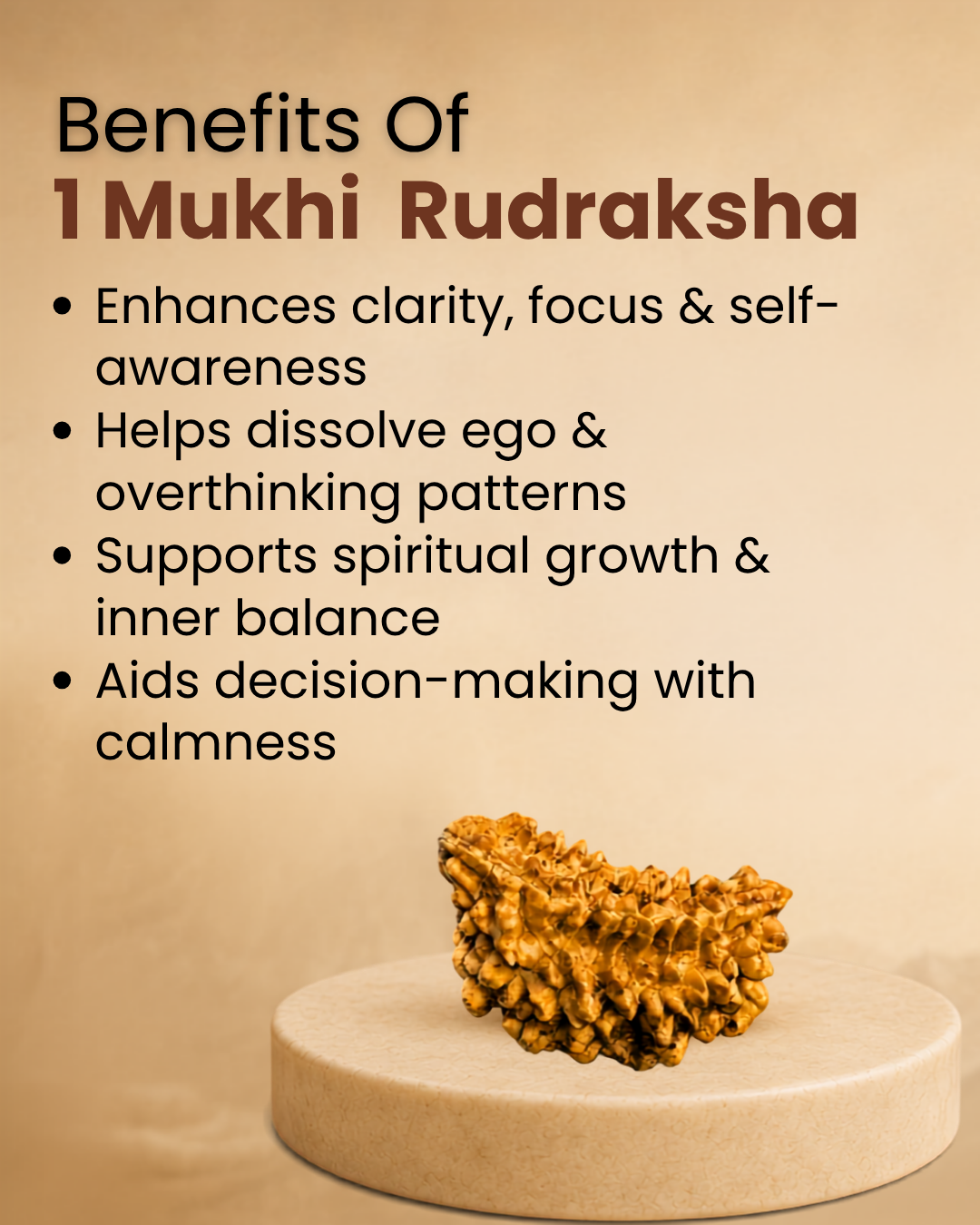 1 Mukhi Rudraksha (Natural | Rameshwaram Origin)