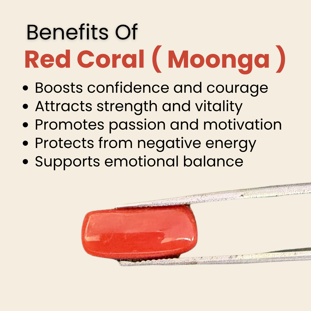 Natural Red Coral (Moonga) Gemstone – Cabochon Shape (5.95 Carat | 6.48 Ratti | 14.9 × 6.9 × 7.0 mm)