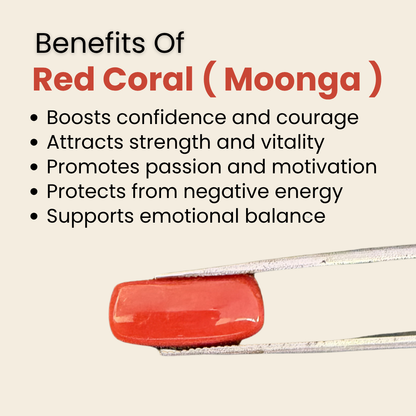 Natural Red Coral (Moonga) Gemstone – Cabochon Shape (5.95 Carat | 6.48 Ratti | 14.9 × 6.9 × 7.0 mm)