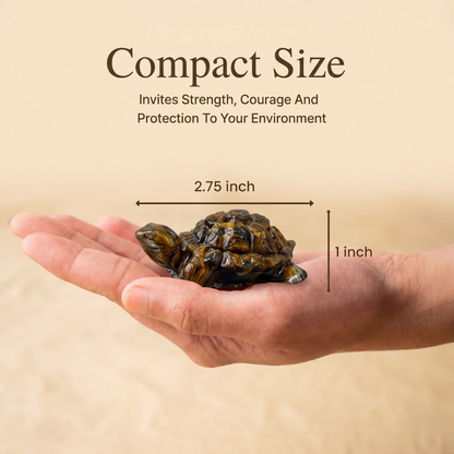 Tiger Eye Tortoise for Vastu – Confidence, Protection, Prosperity & Success