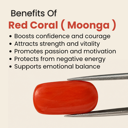 Natural Red Coral (Moonga) Gemstone – Cabochon Shape (5.80 Carat | 6.32 Ratti | 15.1 × 7.9 × 6.0 mm)