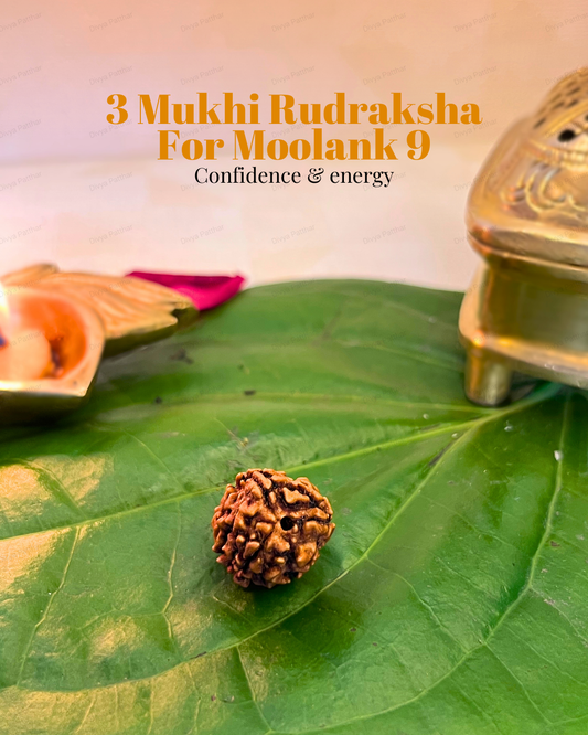 3 Mukhi Rudraksha for Moolank 9 and Action-Driven Souls Ruled by Mars (Natural | Nepal Origin)