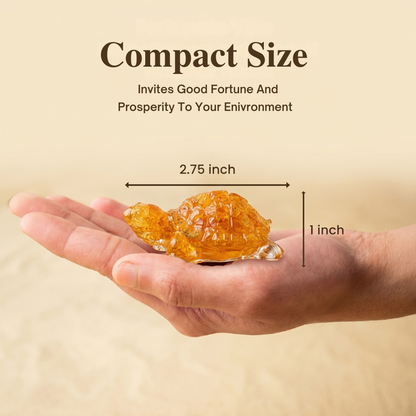 Citrine Tortoise for Vastu Purpose – Wealth, Prosperity & Positive Energy