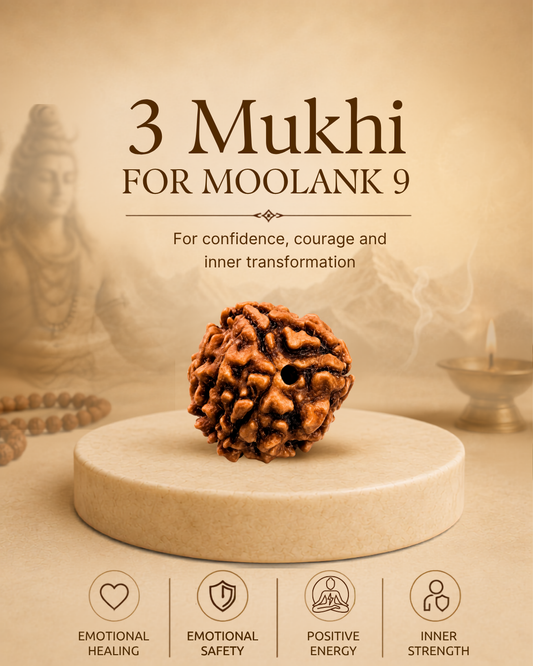 3 Mukhi Rudraksha for Moolank 9 and Action-Driven Souls Ruled by Mars (Natural | Nepal Origin)