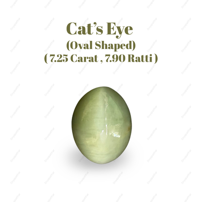 Natural Cat's Eye Gemstone – Oval Shape (7.25 Carat | 7.90 Ratti | L 13.5 × B 10.7 × H 7.6 mm)