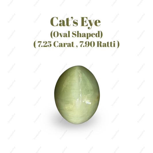 Natural Cat's Eye Gemstone – Oval Shape (7.25 Carat | 7.90 Ratti | L 13.5 × B 10.7 × H 7.6 mm)