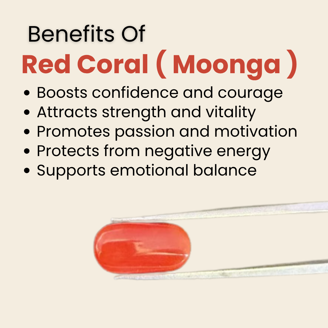 Natural Red Coral (Moonga) Gemstone – Cabochon Shape (6.00 Carat | 6.54 Ratti | 15.9 × 8.5 × 5.4 mm)