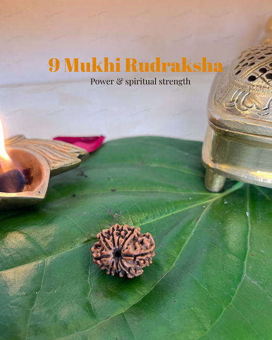 9 Mukhi Rudraksha for Moolank 7 and Spiritual Seekers Ruled by Ketu (Natural | Nepal Origin)