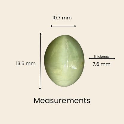 Natural Cat's Eye Gemstone – Oval Shape (7.25 Carat | 7.90 Ratti | L 13.5 × B 10.7 × H 7.6 mm)