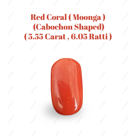 Natural Red Coral (Moonga) Gemstone – Cabochon Shape (5.55 Carat | 6.05 Ratti | 13.67 × 7.6 × 6.3 mm)