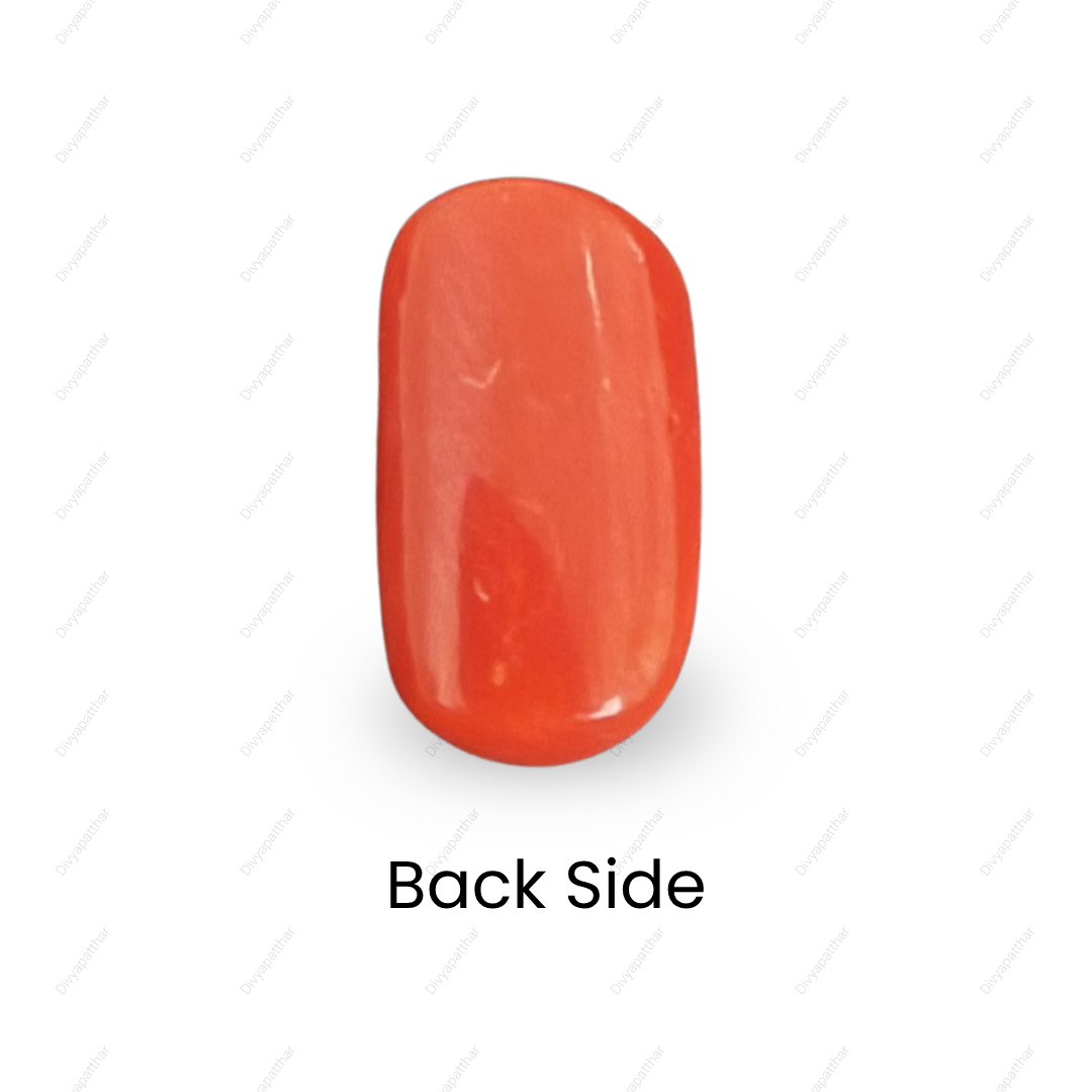 Natural Red Coral (Moonga) Gemstone – Cabochon Shape (5.55 Carat | 6.05 Ratti | 13.67 × 7.6 × 6.3 mm)