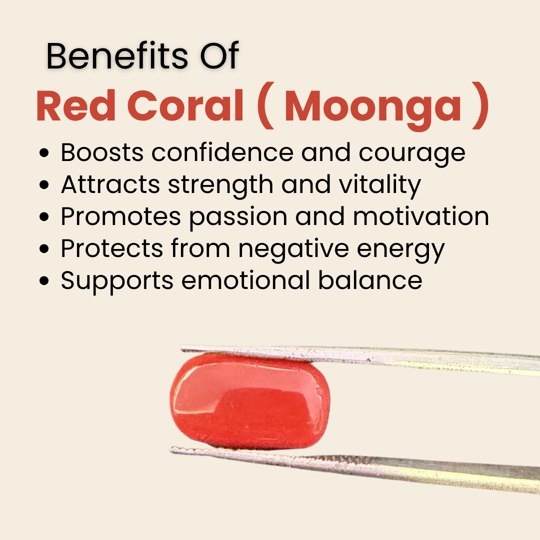 Natural Red Coral (Moonga) Gemstone – Cabochon Shape (5.55 Carat | 6.05 Ratti | 13.67 × 7.6 × 6.3 mm)