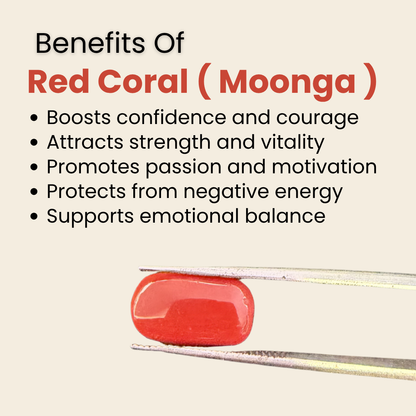 Natural Red Coral (Moonga) Gemstone – Cabochon Shape (5.55 Carat | 6.05 Ratti | 13.67 × 7.6 × 6.3 mm)