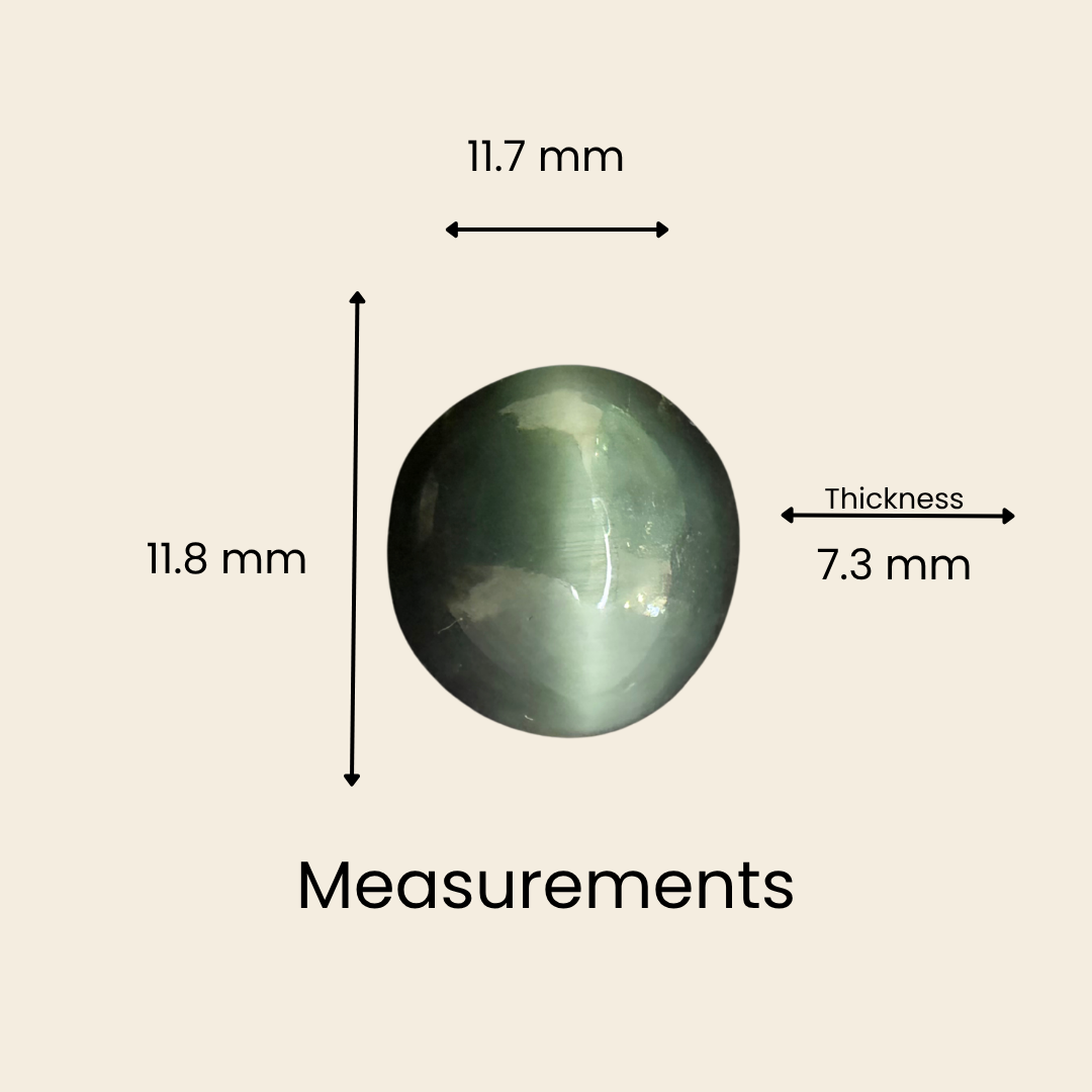 Natural Cat's Eye Gemstone – Oval Shape (7.35 Carat | 8.01 Ratti | L 11.8 × B 11.7 × H 7.3 mm)