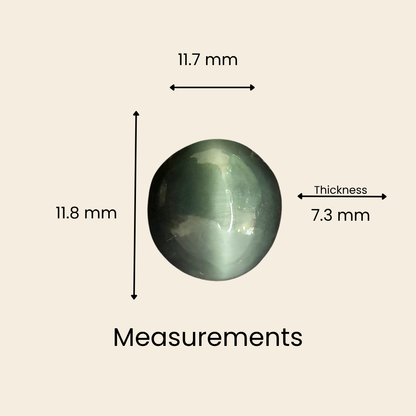 Natural Cat's Eye Gemstone – Oval Shape (7.35 Carat | 8.01 Ratti | L 11.8 × B 11.7 × H 7.3 mm)