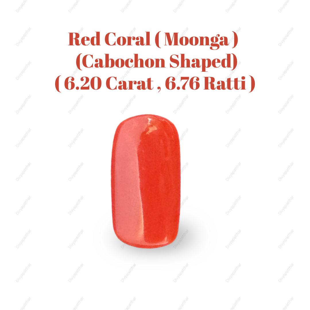 Natural Red Coral (Moonga) Gemstone – Cabochon Shape (6.20 Carat | 6.76 Ratti | 14.8 × 7.5 × 6.5 mm)