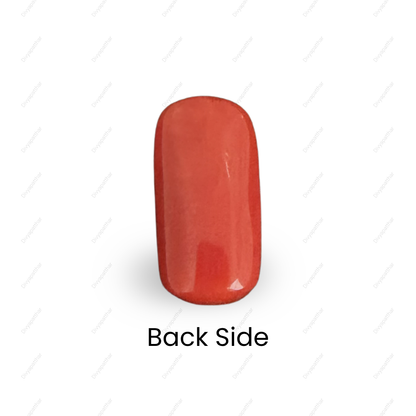 Natural Red Coral (Moonga) Gemstone – Cabochon Shape (6.20 Carat | 6.76 Ratti | 14.8 × 7.5 × 6.5 mm)