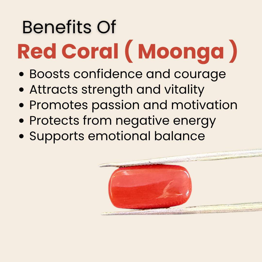 Natural Red Coral (Moonga) Gemstone – Cabochon Shape (6.20 Carat | 6.76 Ratti | 14.8 × 7.5 × 6.5 mm)