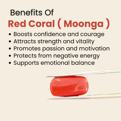 Natural Red Coral (Moonga) Gemstone – Cabochon Shape (6.20 Carat | 6.76 Ratti | 14.8 × 7.5 × 6.5 mm)