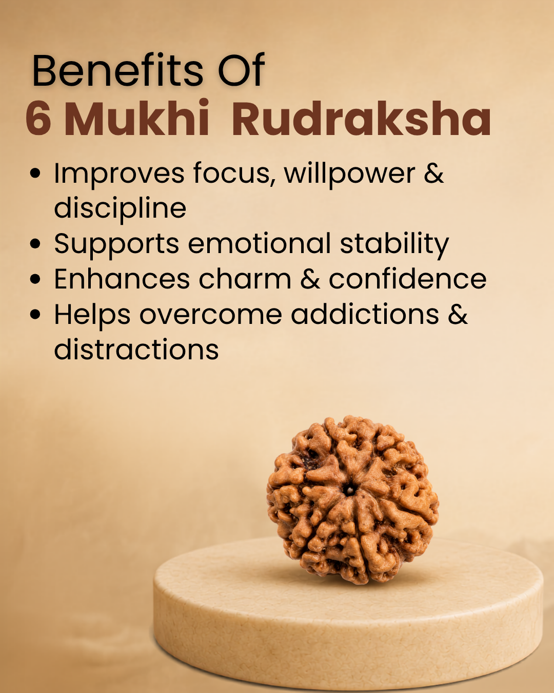 6 Mukhi Rudraksha (Natural | Nepal Origin)
