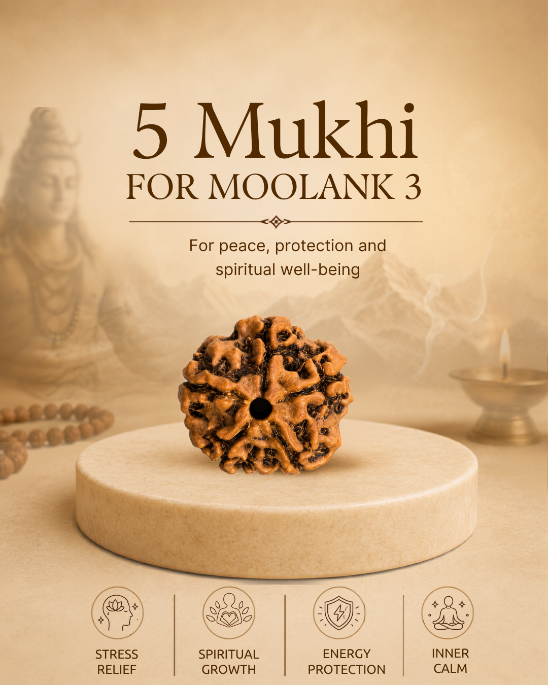 5 Mukhi Rudraksha for Moolank 3 and Wisdom Seekers Ruled by Jupiter (Natural | Nepal Origin)