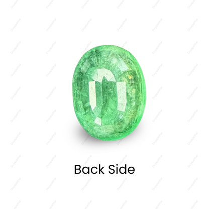 Natural Emerald (Panna) Gemstone – Oval Shape (7.85 Carat | 8.55 Ratti | 14.2 × 11.0 × 7.3 mm)