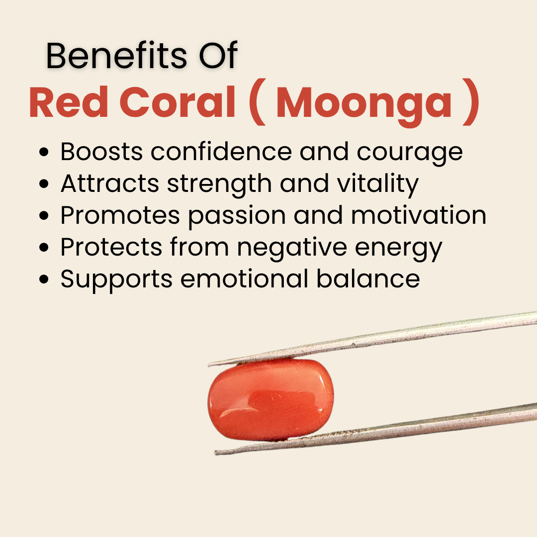 Natural Red Coral (Moonga) Gemstone – Cabochon Shape (6.50 Carat | 7.08 Ratti | 14.2 × 8.3 × 6.9 mm)